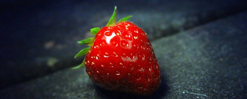草莓种子发芽后怎么办
