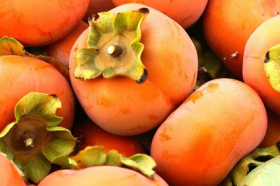 太秋甜柿适合在哪个地方种植