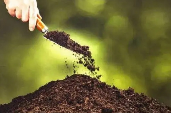 鉀肥對植物的作用