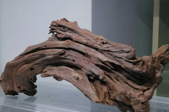 沉木是什么树的木头