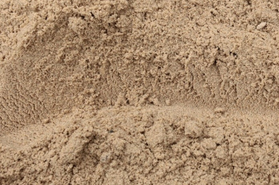 生桩用粗沙还是细沙