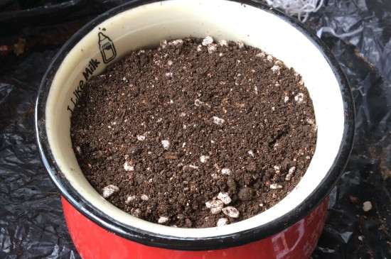 花土里有小虫子用什么方法可以清除掉