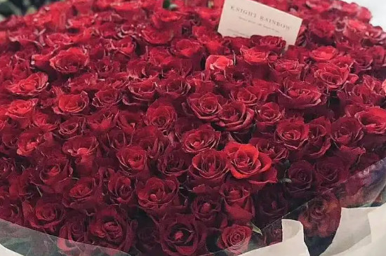 订婚买52朵玫瑰还是99朵