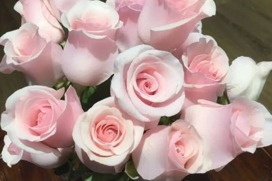 粉色玫瑰的花语是什么