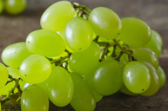 绿葡萄品种