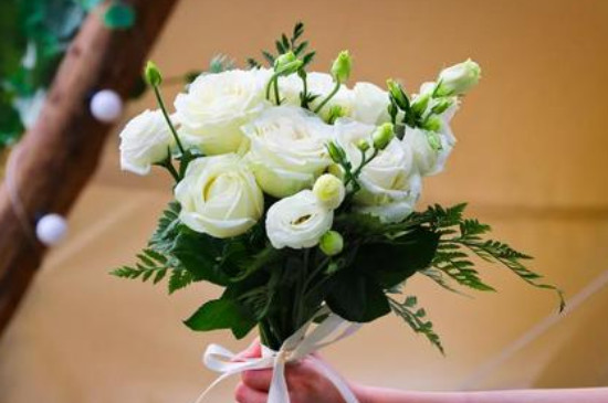 7朵白玫瑰花语是什么