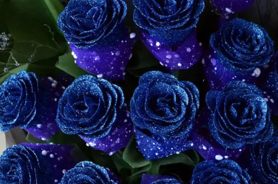 蓝色妖姬玫瑰花的花语是什么