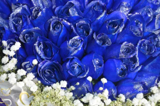 蓝玫瑰满天星什么意思