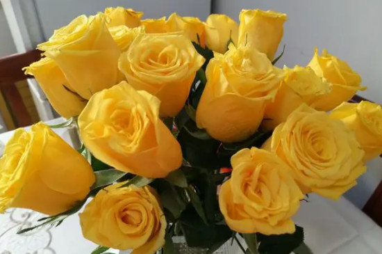 黄玫瑰的四种花语
