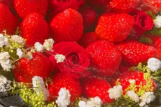 草莓加玫瑰花束寓意