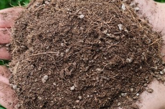 沙质土的特点是什么