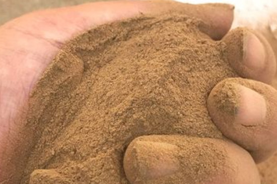 沙质土的特点是什么