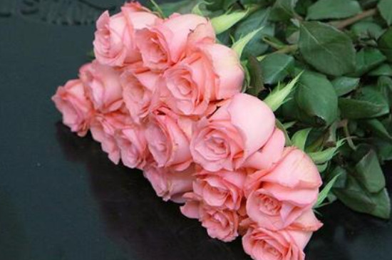 粉色玫瑰花的花语