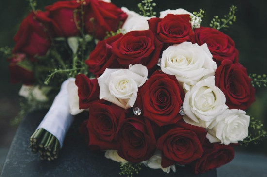白玫瑰和红玫瑰的区别