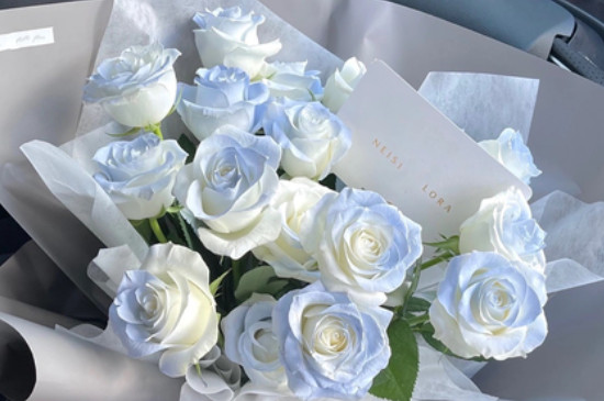 白蓝玫瑰花叫什么
