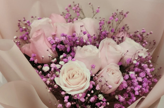 粉色玫瑰和满天星搭配的寓意