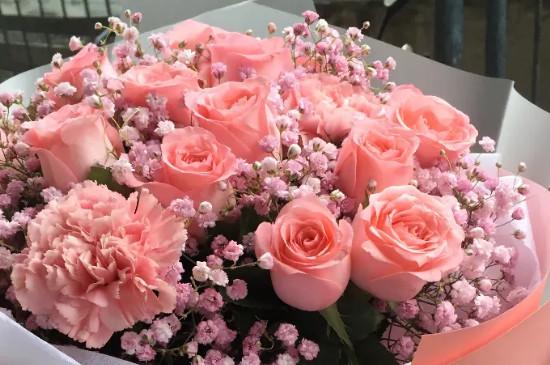 粉色玫瑰和满天星搭配的寓意