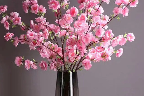 干桃花枝水培多久开花