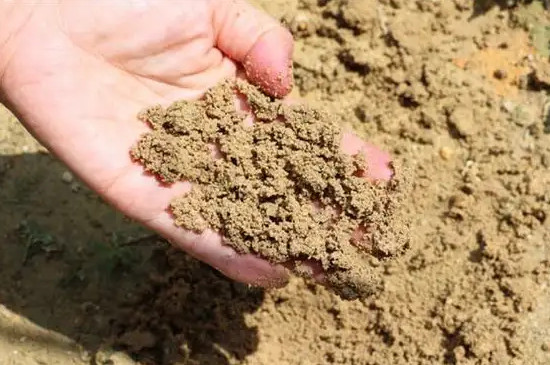 沙质土的特点