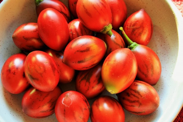 什么季节适合栽培圣马尔扎诺番茄，圣马尔扎诺番茄种植和护理的方法有哪些(西红柿的种植时间和方法)