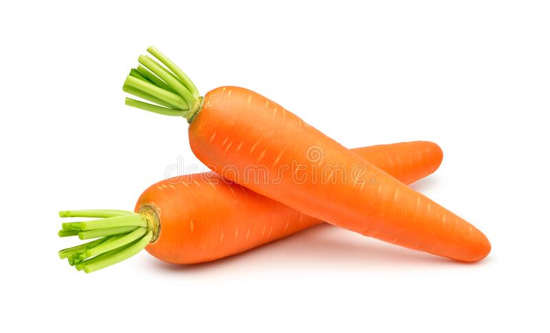营养蔬菜胡萝卜要怎么种植，营养蔬菜胡萝卜适合什么季节种植(种植蔬菜100种技术)