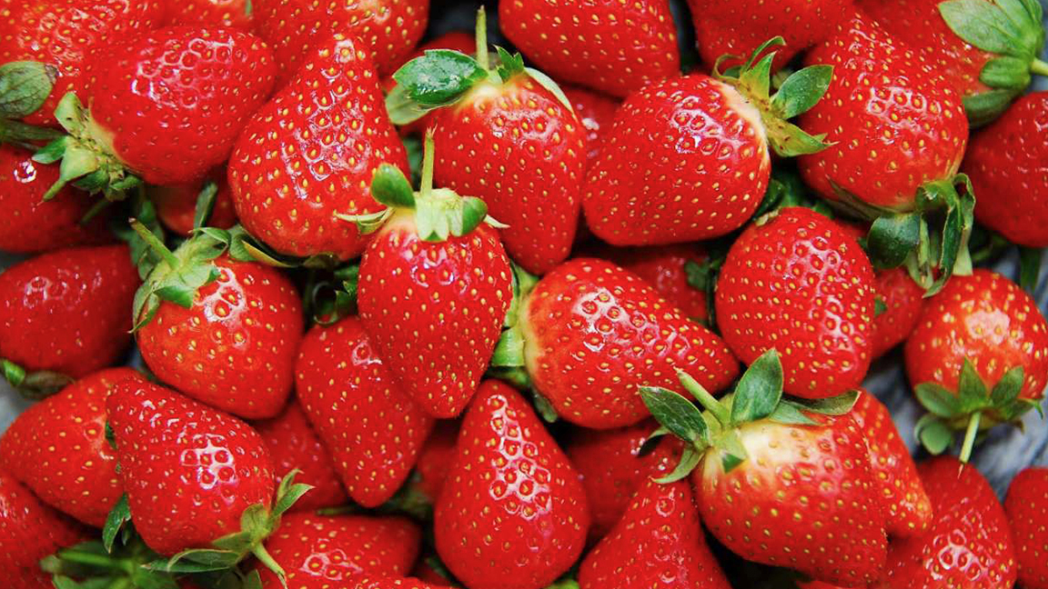 法国最好吃的草莓品种有哪些？告诉您法国人挑选草莓的小技巧| 法国| 草莓| 品种| 季节| 水果| 好吃| 挑选| 希望之声