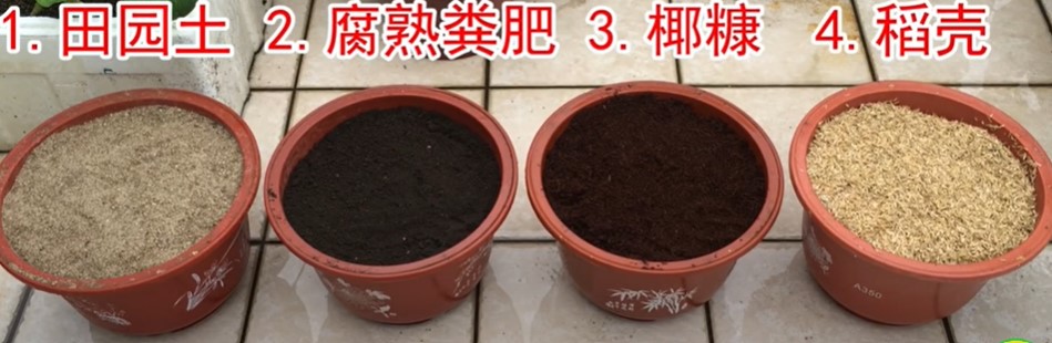 种植土的四种物质为：田园土、腐熟粪肥、椰糠和稻壳（小家庭种菜视频截图）