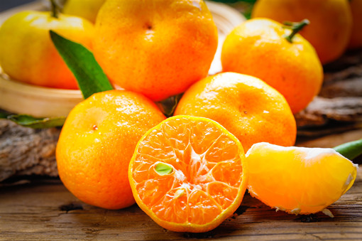 柑橘的种植方法有哪些？