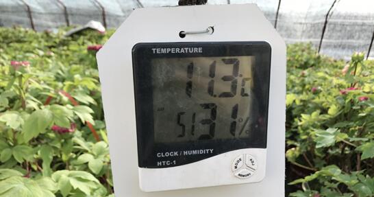 催花大棚内用来24小时监控棚内温度与湿度的仪器。
