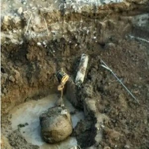 菏泽出土的巨型石龟