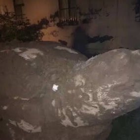 菏泽出土的巨型石龟